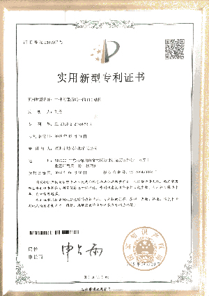 Patent 6